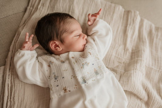 Conjunto de Babygrow laminado e fralda de pano - Mighty Love | Coleção Goose